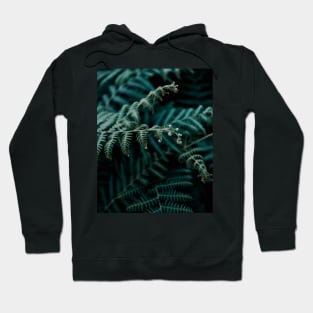 Dark Green Fern Leaves - Inspirational Hoodie